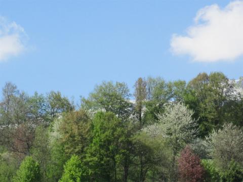 Natura